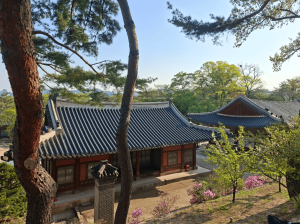Wisata Halal Korea Selatan bersama Artha Travelindo Madani Perusahaan Travel Umroh dan Wisata Halal Terpercaya